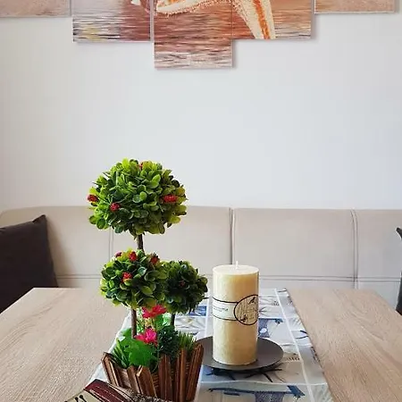 Appartement Complex Nestinarka *
